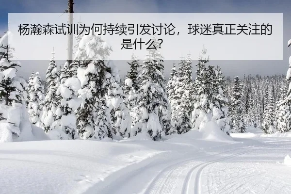 yang-han-sen-shi-xun-wei-he-chi-xu-yin-fa-tao-lun-qiu-mi-zhen-zheng-guan-zhu-de-shi-shen-me-2-116.jpg